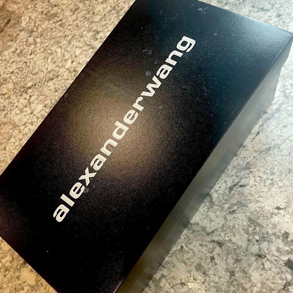 Alexander wang slippers